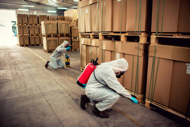 Best Pest Prevention Services  in Highlands, CA