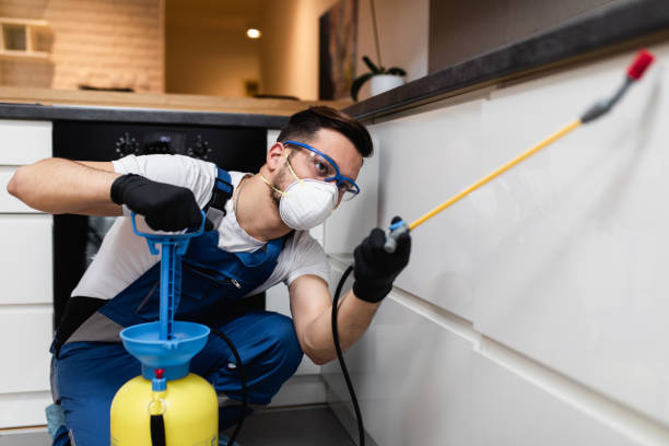 Best Mosquito Control Services  in Highlands, CA