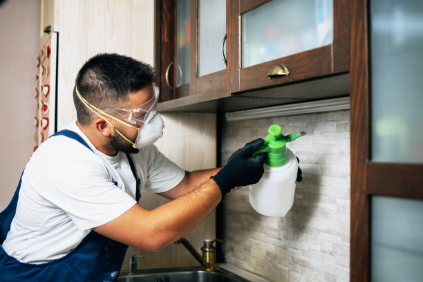 Pest Control for Restaurants in Highlands, CA