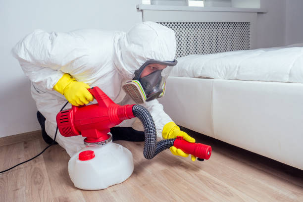Best Affordable Pest Control Services  in Highlands, CA