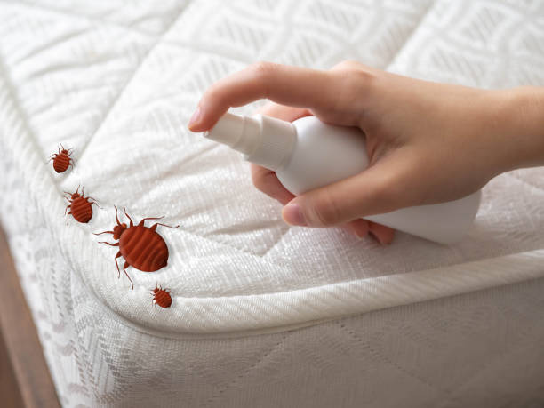 Best Emergency Pest Control  in Highlands, CA