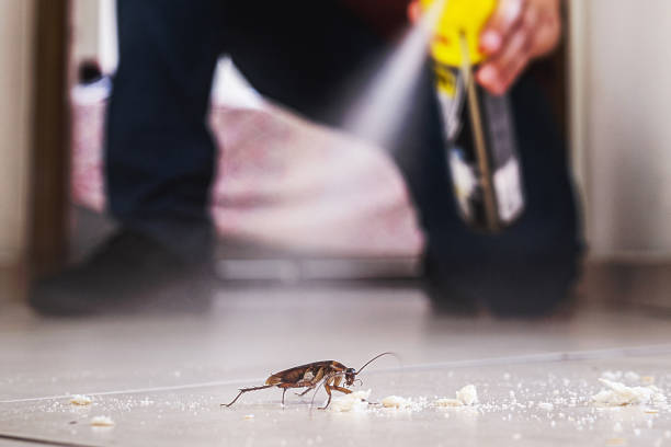 Best Pest Removal Services  in Highlands, CA